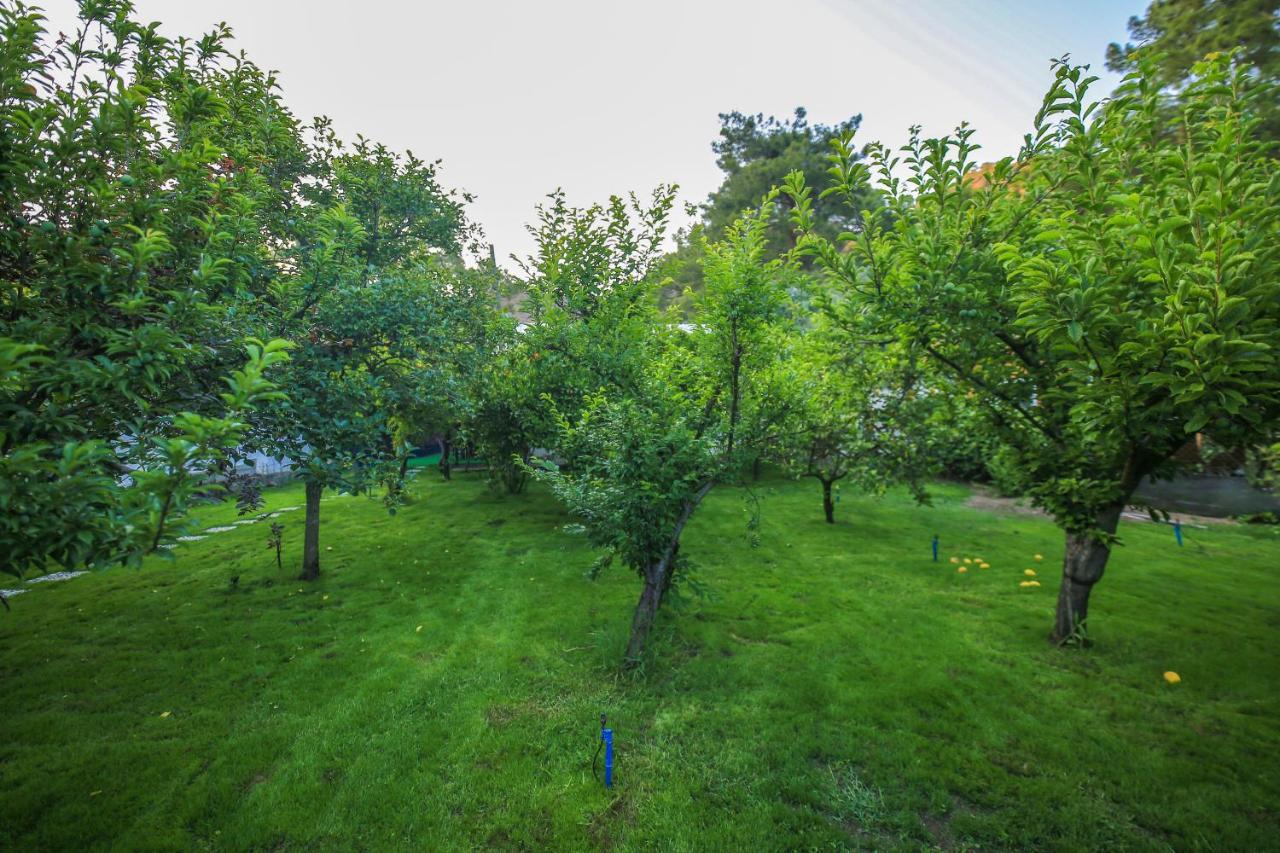 Seker Bungalov Apartman Çıralı Kültér fotó
