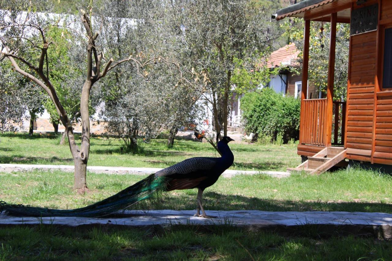 Seker Bungalov Apartman Çıralı Kültér fotó