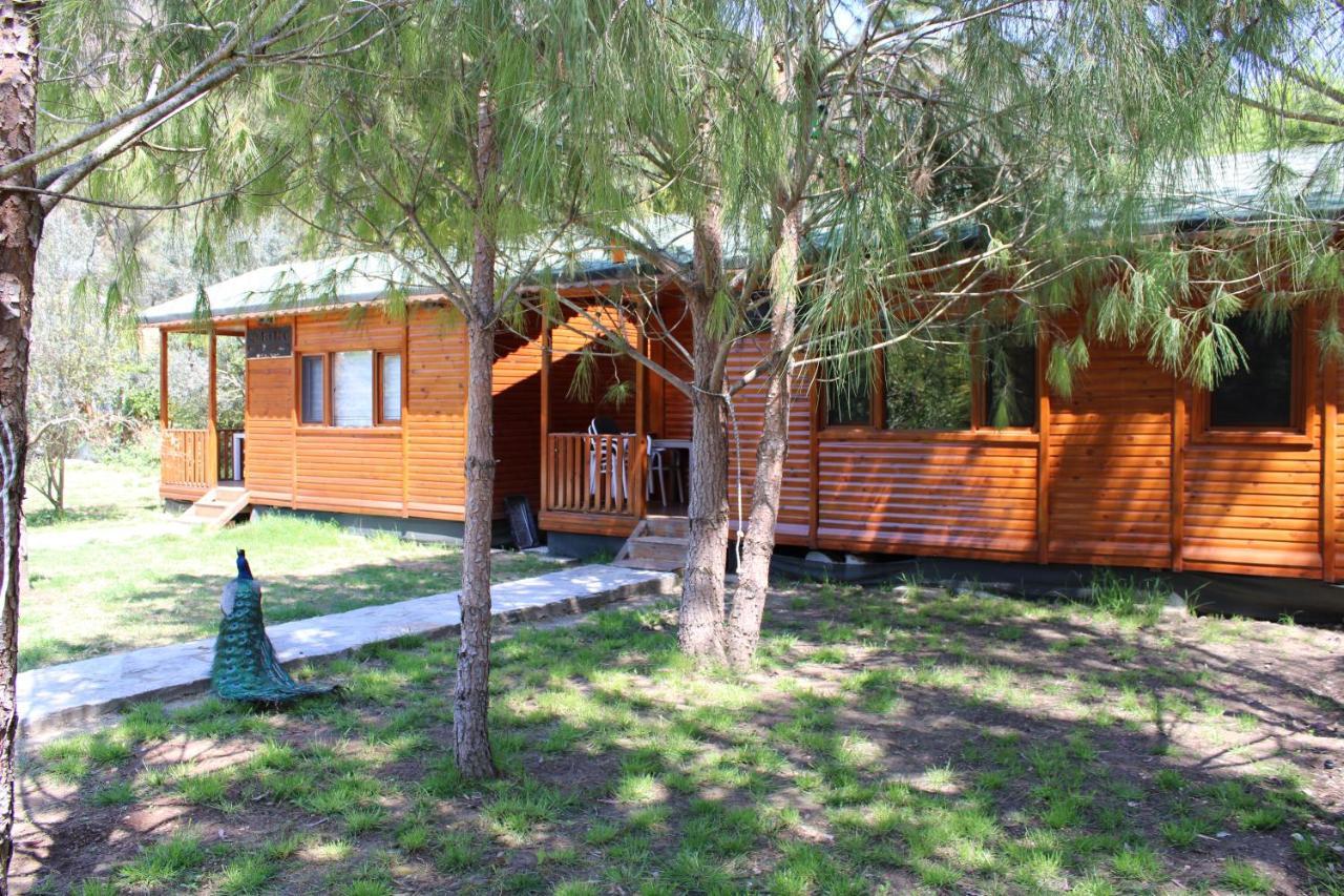 Seker Bungalov Apartman Çıralı Kültér fotó